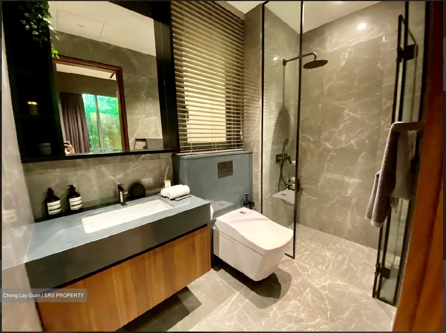 One Holland Village Residences (D10), Apartment #586186641